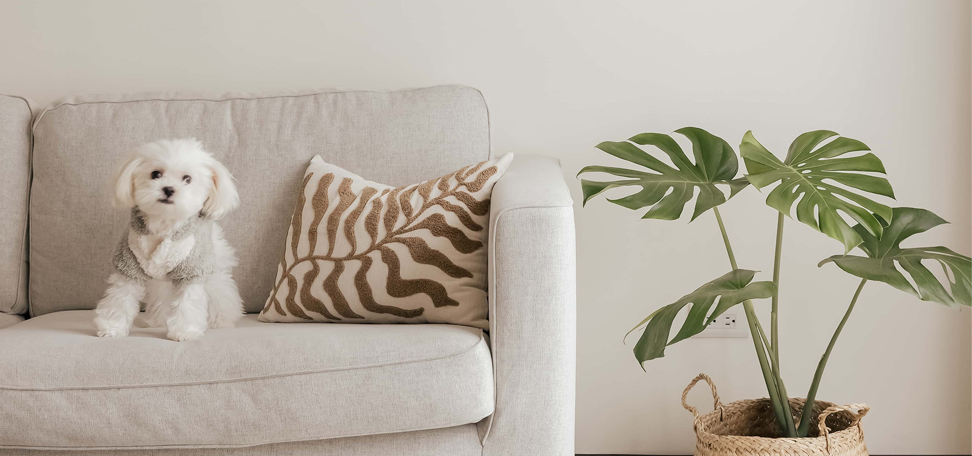 IMG_8626 伊登蕾雅美學顧客案例