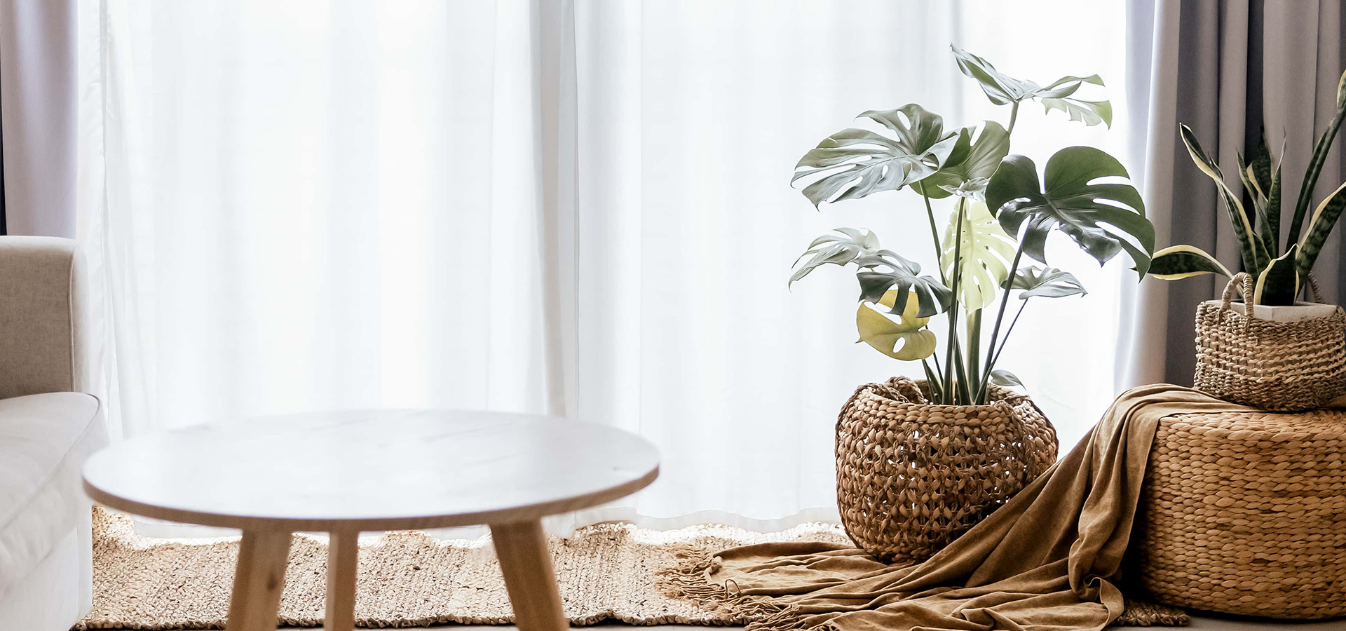 IMG_8643 最新美容優惠